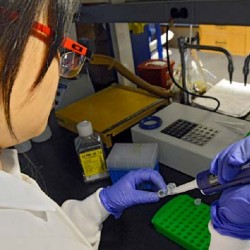 A student at a lab bench pipetting