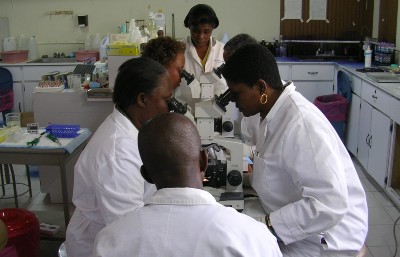 At Grace Childrens Hospital, Trainers training lab techs on microscopes  